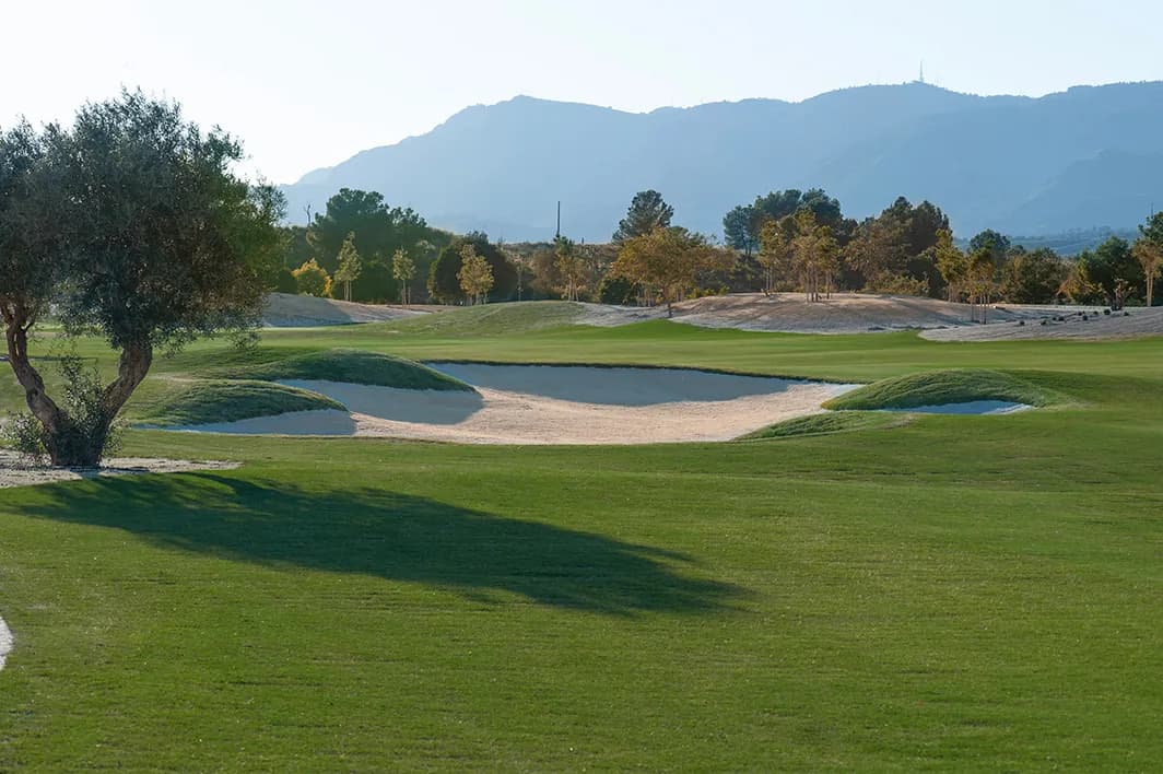 Golf Lifestyle